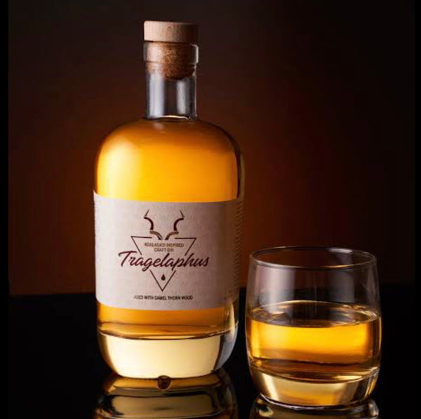 Tragelaphus Gin